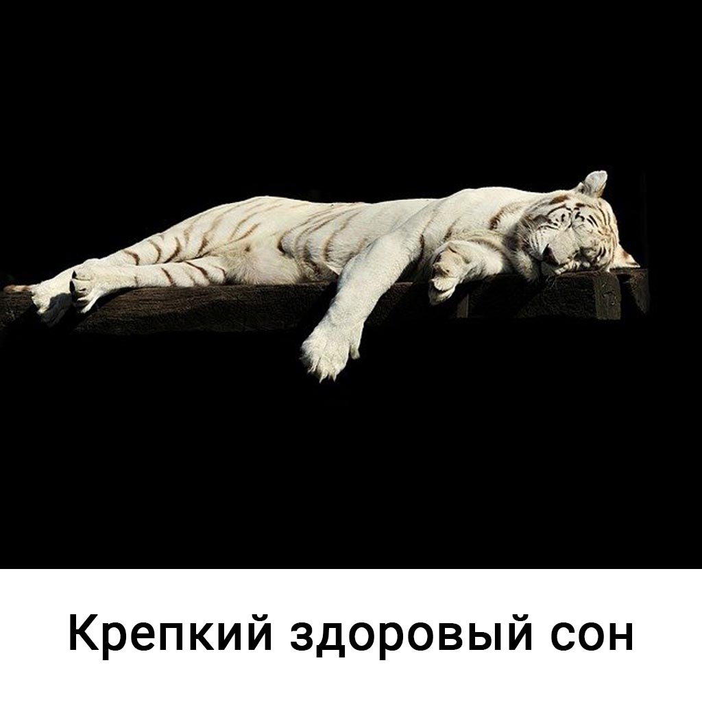 Крепкий здоровый сон